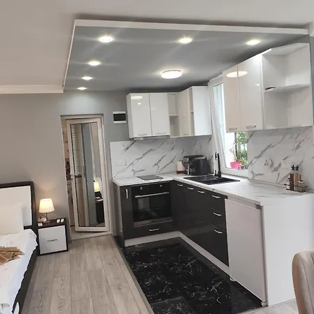 студио لوزينيتس