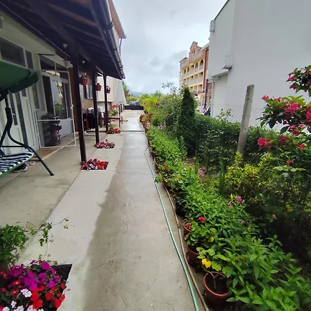 بيت ضيافة студио