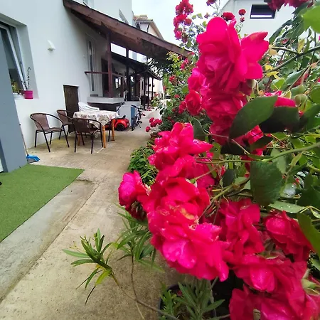 студио بيت ضيافة لوزينيتس