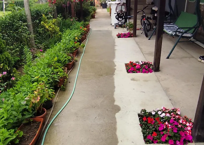 студио Affittacamere