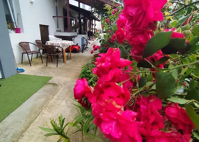 студио Affittacamere Lozenets